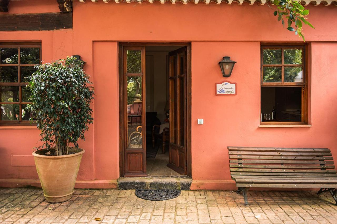 Homeforguest Cosy Rural Flat La Lavanda Surrounded By Nature Tacoronte Eksteriør bilde