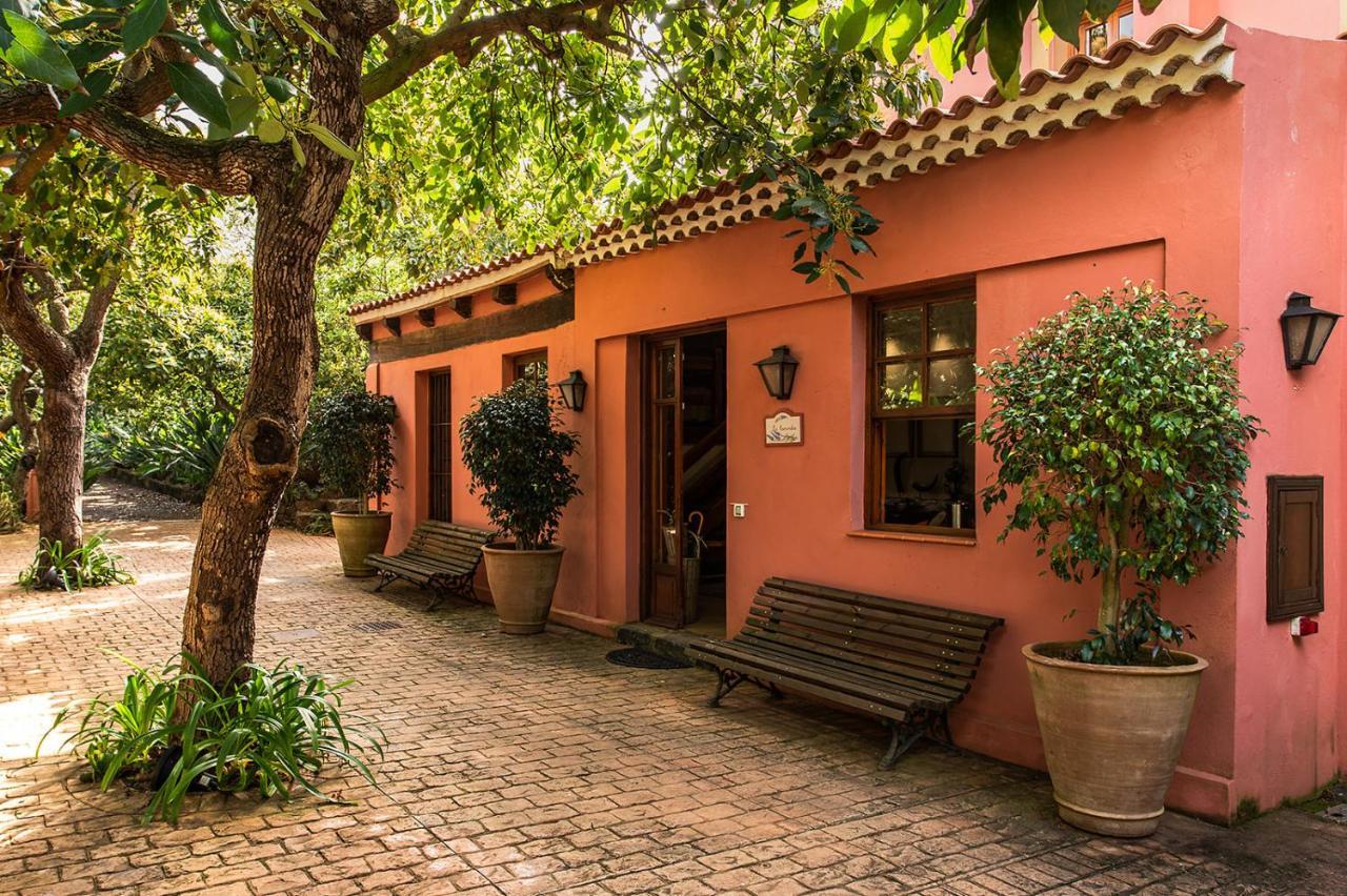 Homeforguest Cosy Rural Flat La Lavanda Surrounded By Nature Tacoronte Eksteriør bilde