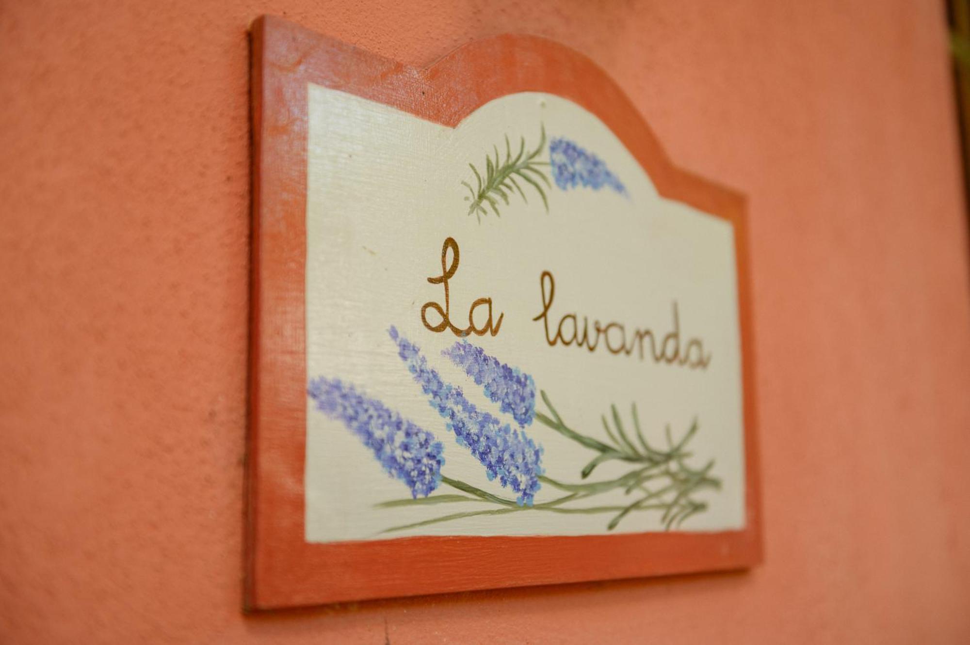 Homeforguest Cosy Rural Flat La Lavanda Surrounded By Nature Tacoronte Eksteriør bilde
