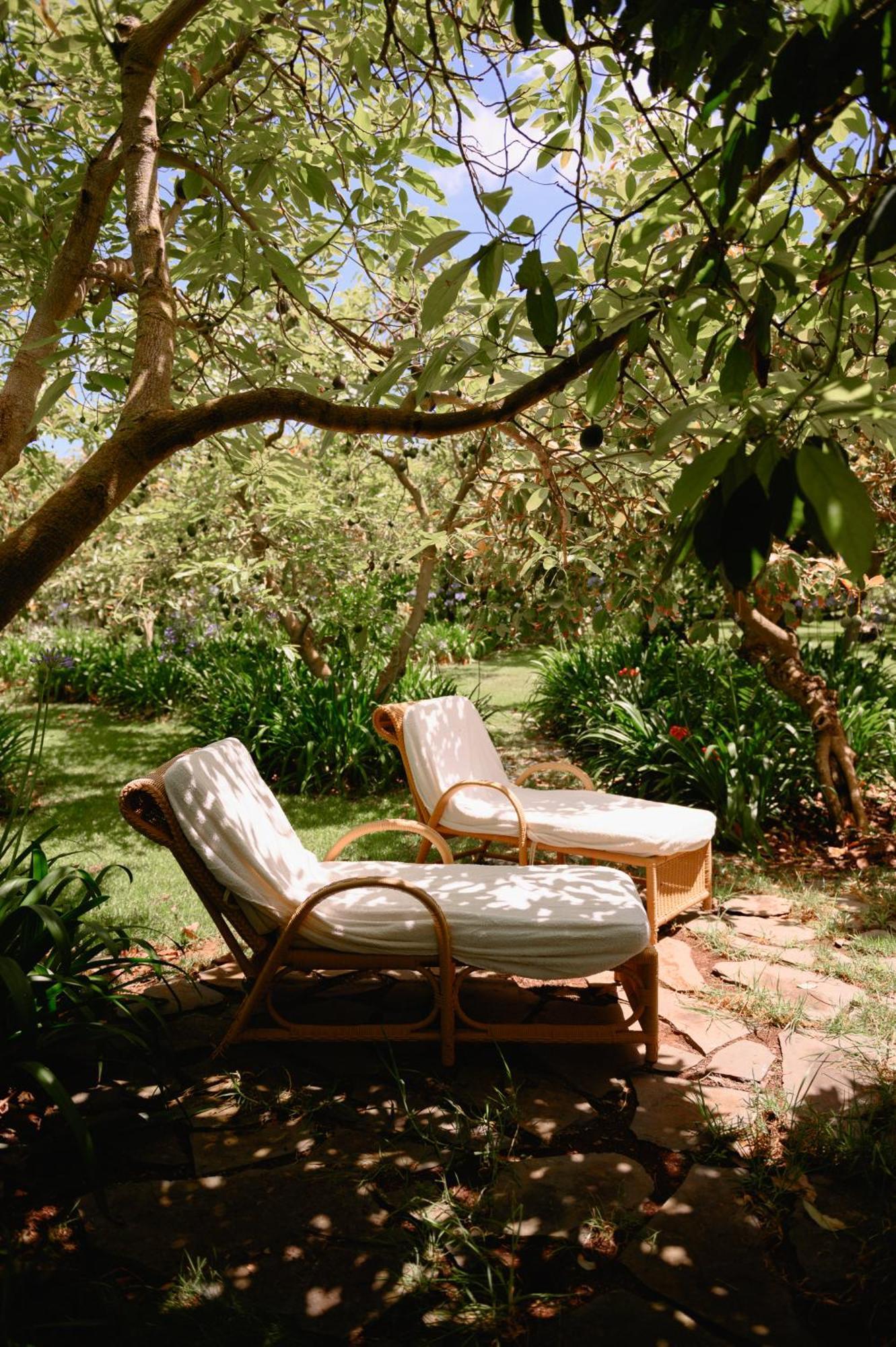 Homeforguest Cosy Rural Flat La Lavanda Surrounded By Nature Tacoronte Eksteriør bilde